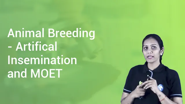 Government Of India Has Encouraged The For Improving The Productivity By Launching Nkm-16